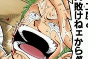 【ONEPIECE -ワンピース】ゾロ「俺はもう……二度と負けねェから！」←なおその後の戦績ｗｗｗｗｗ