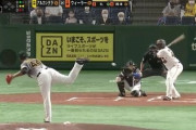 【GIF】阪神の新外国人・アルカンタラの制球力wwwww
