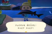 【あつまれどうぶつの森】チョウザメ釣れない…　どこで釣れるの？