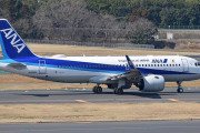 ANA、大型機に加え小型機も削減方針…採算改善へ運航機種を絞り込み！