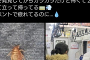 【速報】都内電車でトコジラミ見つかる