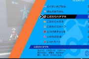 【ポケモン剣盾】わざと時間をかければこだわり偽装できる？【冠の雪原】