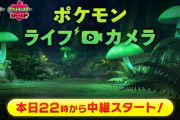 「ポケモンライブカメラ」で新ポケモン登場！？