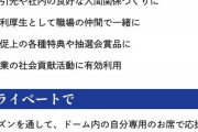 【朗報】ナゴヤドームのシーズンシート、福利厚生に使える模様