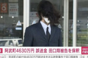 【朗報】4300万円パクった田口くん、釈放されただけでお茶の間を笑顔にしてしまうｗｗｗｗ