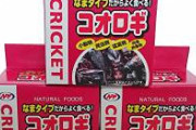 【闇深】地下アイドルさん、罰ゲームで食用コオロギを食べさせられる→アレルギー発症し入院