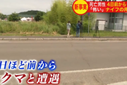 新聞配達員の男性､ヒグマから執拗に狙われていた 襲撃4日前から何度も目撃 知人｢ナイフ持ったほうがいいかなと言っていた｣