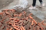 【動画】中国産の野菜やっぱダメだった模様「化学溶液で処理された人参に泥を付け新鮮野菜に変身させる」