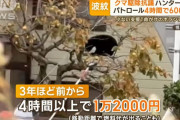 クマ討伐隊、パトロール4時間以内で6000円「パートに命かけられない」！