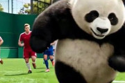 中国人「サッカー日本代表FW、プレミアに移籍！」　中国人「前線の極み」「この人を嫌う監督はいない」