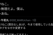 【悲報】みけねこ炎上騒動、遂にバチャ豚の目を覚まさせる「ごめん。みけねこ。さすがにこれは敵にならせてもらうね。もう無理だよ。僕は。じゃあね。」