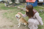 【乃木坂46】与田ちゃん、念力で犬を浮かせてしまうｗｗｗｗｗｗｗｗｗ