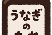 お前らがうなぎはタレが美味いだけっていうから鰻のタレ丼みたいなの食ったらすげえまずかったぞ