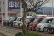 【謎】ヤフコメ民｢ビッグモーターの店の前の街路樹だけなぜか枯れてしまう｣