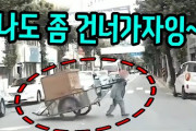 韓国でよく見る「古紙回収のリアカー」、車道を歩いて交通事故が頻発するものの対策は「蛍光ベストに反射板バンド」だけ……