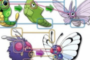 ポケモンのバタフリーとモルフォンが入れ替わった説ってマジだよな