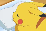 お布団でいっしょにおやすみしたいポケモン
