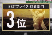 S-PARKの1/100『NEXTブレイク』打者部門でDeNA佐野選手が3位にランクイン(*^◯^*)