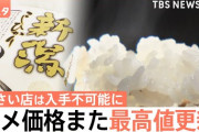 【うせやろ？】備蓄米、流通してなかった