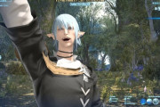 【FF14】ロールプレイしている人にありがちなこと