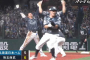 【朗報】西武ライオンズ、ここにきて覚醒して熱い試合を繰り返す