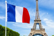 【画像】フランスのイッヌがイケメンすぎるｗｗｗｗｗｗｗｗ