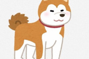 【悲報】日本から46万円で中国人に買われた秋田犬、最悪な結末を迎えてしまう・・・