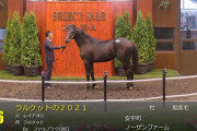 【セレクトセール2022】ラルケットの2021（父レイデオロ）2億2千万円で落札