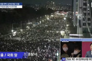【画像】「我々は尹大統領の圧政と戦う！戦う！戦う！」デモ隊がソウルに集結