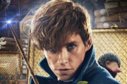 ファンタスティック・ビーストの主人公優秀じゃない…？