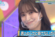 【日向坂46】くみてんと若林さんの掛け合い、最高