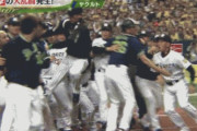 【GIF】阪神矢野監督、ヤクルト選手に飛び蹴りwwwwww