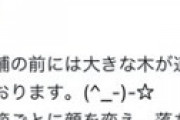 【画像】 愛媛ダイハツ、ビッグモーターを煽る 「店舗の前には大きな木が道路沿いにそびえたっております」 ⇒ 本社から怒られて？削除