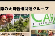 【画像】日本人が大麻に抱くイメージがヤバすぎると話題にｗｗｗｗｗｗ
