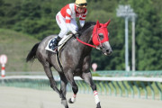 【訃報】オグリキャップを母父に持つ競走馬・ミンナノヒーローが予後不良