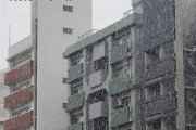 【朗報】東京都で雪！！！！！！！！！！！