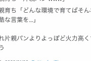 片親育ち「片親パンｗ」両親育ち「どんな環境で育てばそんな残酷な言葉を・・・」