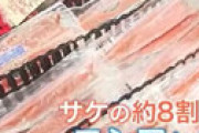 日本政府さん「ロシア産カニ・サケ等水産物の禁輸、やっぱ実施しません」 国民生活への影響が大きいため