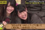 【乃木坂46】この2人は永遠なんだ...　※画像あり