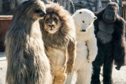 【朗報】『動物園』という施設がヤバ過ぎると話題に！800円払うだけで希少な動物を見放題、撮り放題！