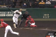 【GIF】 佐藤輝明、森下からホームランwwwwwww