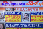 【悲報】海外「日本の食い方はブタみたい、トイレを流してるの？」