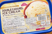 【画像】トップバリュの1Lアイス､ガチで若者の間で流行るｗｗｗｗ