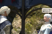 【FF14】ヴァレンティオンデー2025会場にて人前でイチャつくフルシュノ・アメリアンスのルヴェユール夫妻が発見される。ヒカセンたち「ほっこりした」