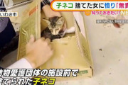 一度保護した上で…子ネコ捨てた女に「無責任」の声