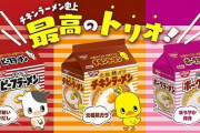 「チキンラーメン」に仲間が誕生！ その名もズバリ「ビーフラーメン」「ポークラーメン」