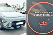 まともなエンジンを作れないのにハイブリッドが上手くいく訳も無く　〜　【江南タイムズ】 韓国製ハイブリッド車で深刻な不具合続出、現代自動車コナで走行中エンストも…リコールはなし