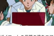 【悲報】碇シンジの同級生、全員母親がいなかった・・・・・・・・・