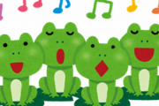 彡(ﾟ)(ﾟ)「カエルの歌はガチ」