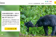 【社会】「クマこそ被害者」「売り物にならない果実は食べさせてあげたらいい」 環境保護団体”日本熊森協会”、クマとの共存を主張